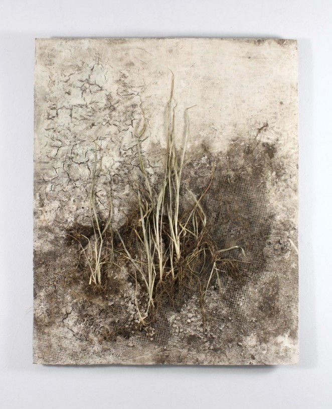 Corn Drought Corn Plant, Concrete, Dirt, Acrylic Paint, Metal Mesh on Wood Panel. 36" x 48" The surface was constructed then buried in the soil to allow corn to grow from a seed.